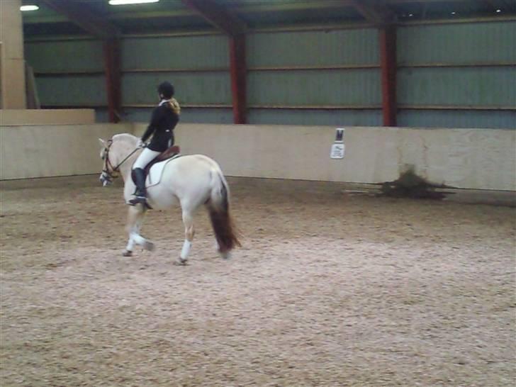 Stævne på Strøgården :D billede 36