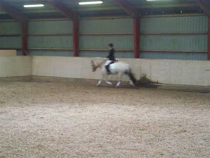 Stævne på Strøgården :D billede 37