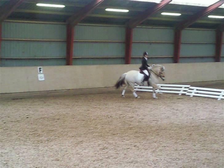 Stævne på Strøgården :D billede 39