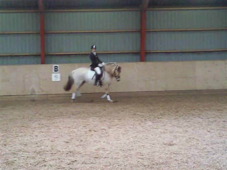 Stævne på Strøgården :D billede 40