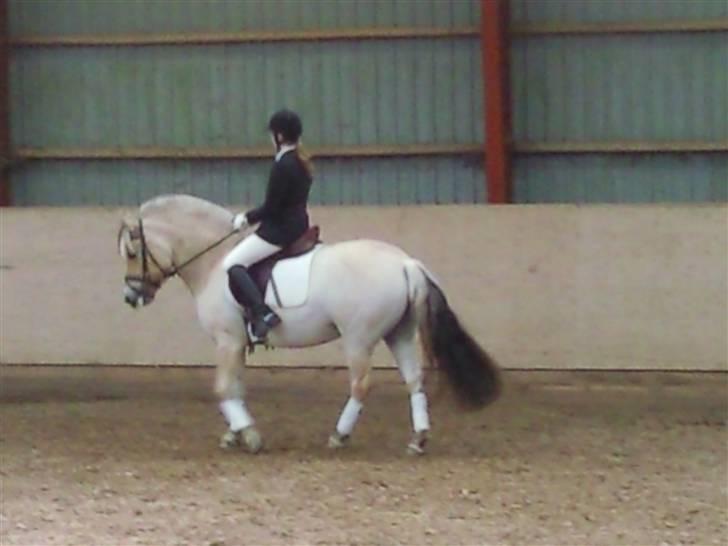 Stævne på Strøgården :D billede 43