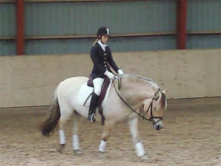 Stævne på Strøgården :D billede 44