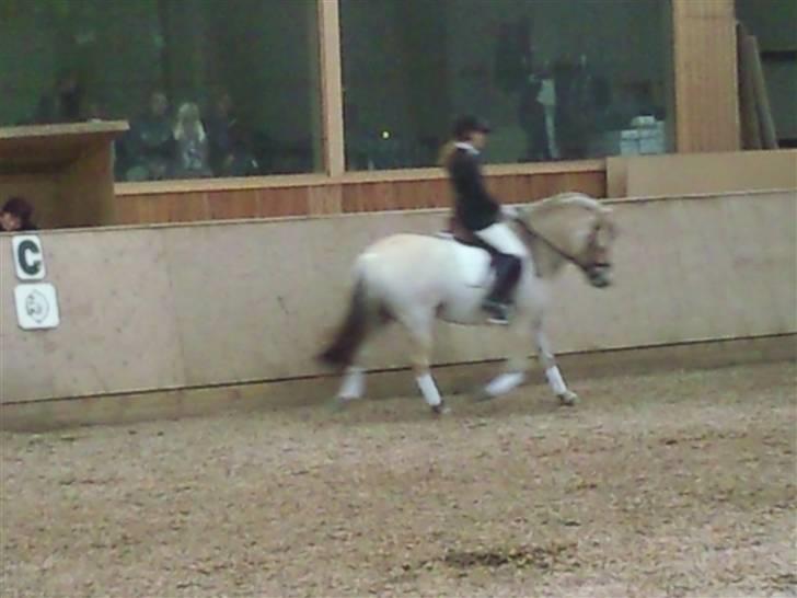 Stævne på Strøgården :D billede 45