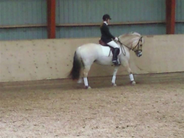 Stævne på Strøgården :D billede 46