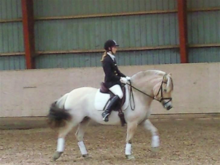 Stævne på Strøgården :D billede 47