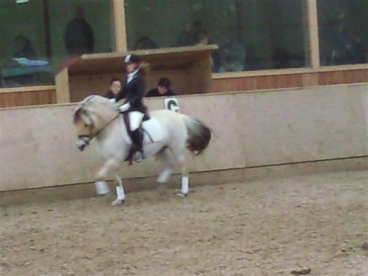 Stævne på Strøgården :D billede 49