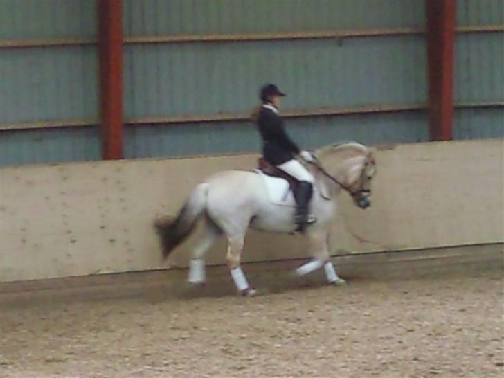 Stævne på Strøgården :D billede 50