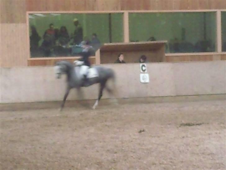 Stævne på Strøgården :D billede 53