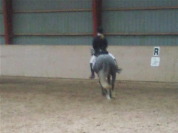 Stævne på Strøgården :D billede 54