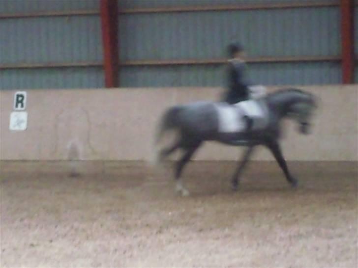 Stævne på Strøgården :D billede 55