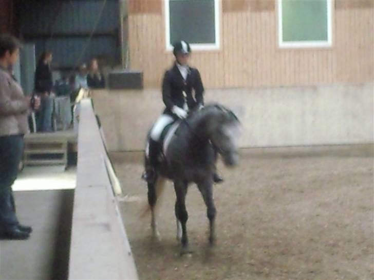 Stævne på Strøgården :D billede 56