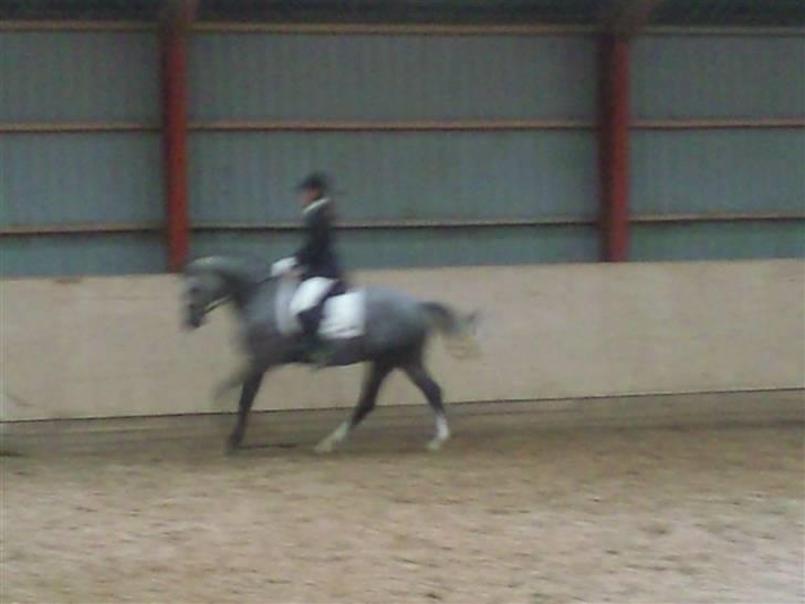 Stævne på Strøgården :D billede 57