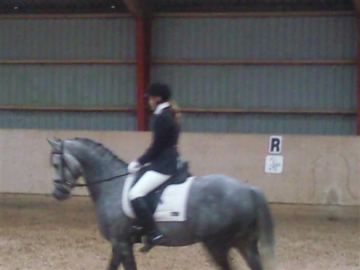 Stævne på Strøgården :D billede 58