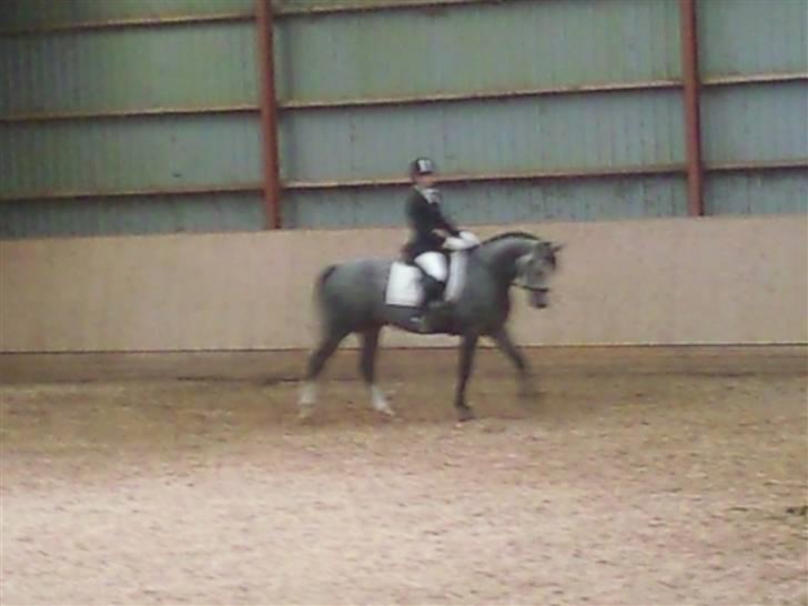 Stævne på Strøgården :D billede 59