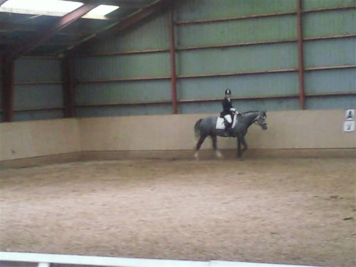 Stævne på Strøgården :D billede 60