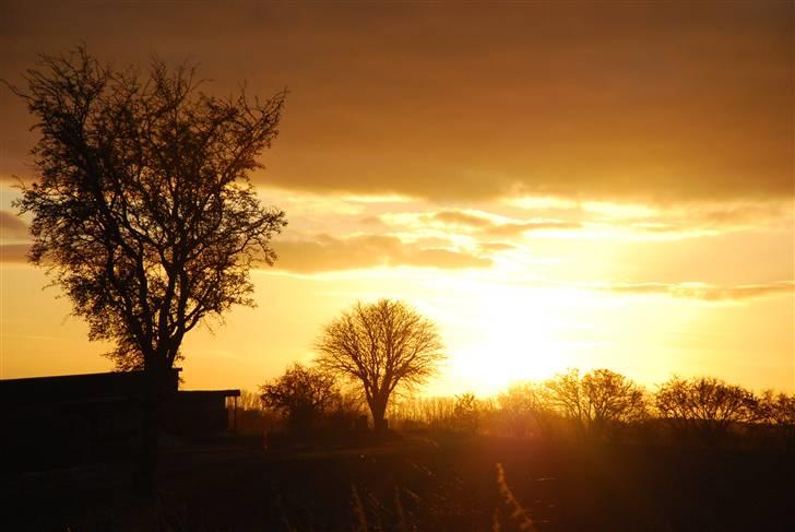 Solbilleder billede 5