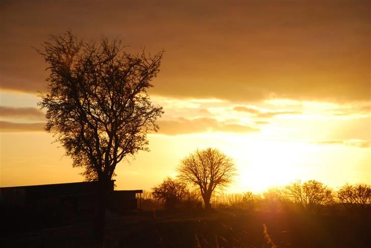 Solbilleder billede 6