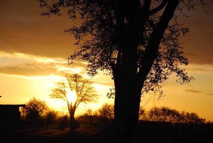 Solbilleder billede 7