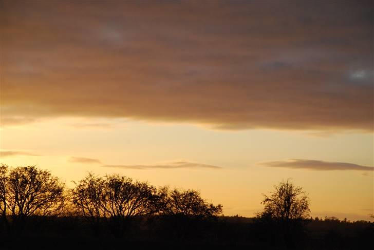 Solbilleder billede 8