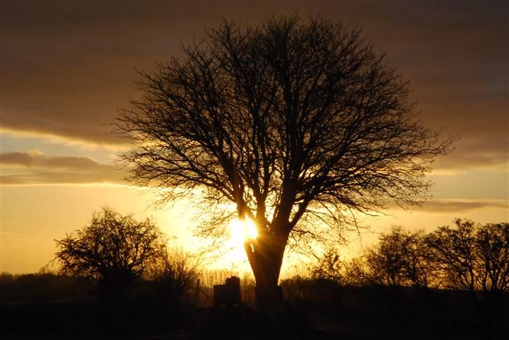 Solbilleder billede 1