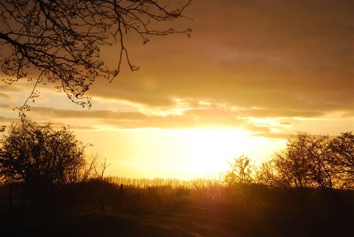 Solbilleder billede 12