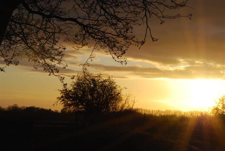 Solbilleder billede 13