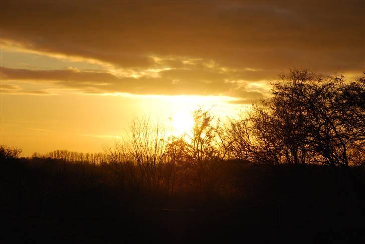 Solbilleder billede 15