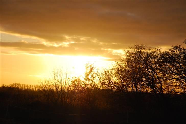 Solbilleder billede 16