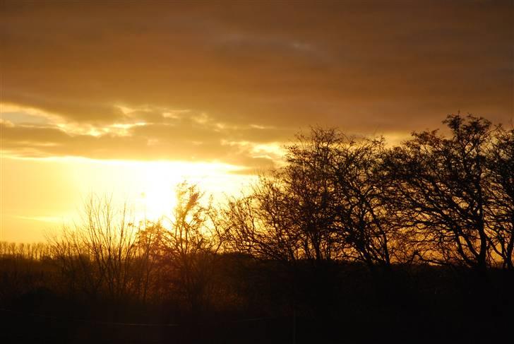 Solbilleder billede 17