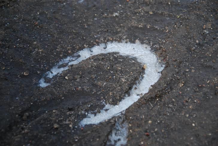 Solbilleder billede 19