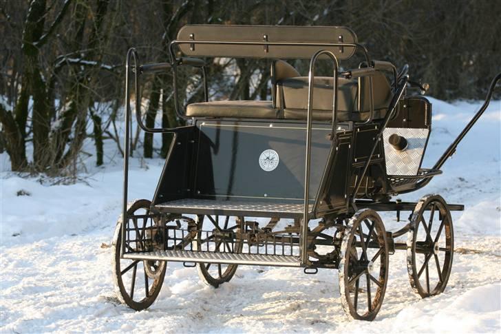 Guld-kareten billede 1