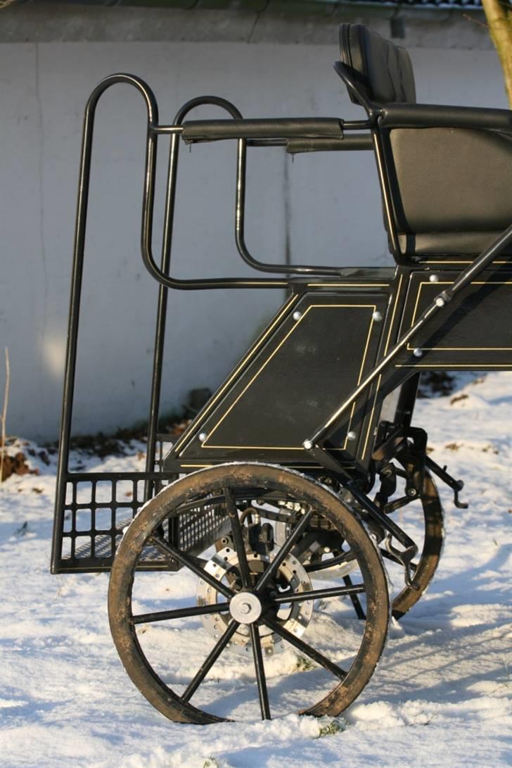 Guld-kareten billede 2