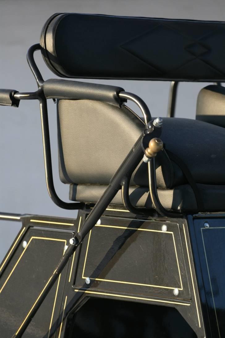 Guld-kareten billede 4