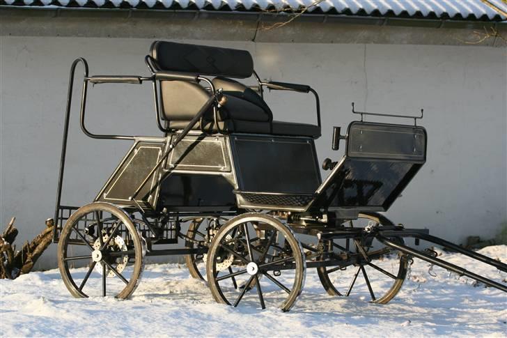 Guld-kareten billede 5