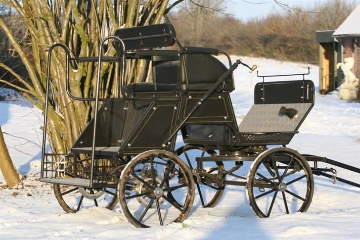 Guld-kareten billede 6