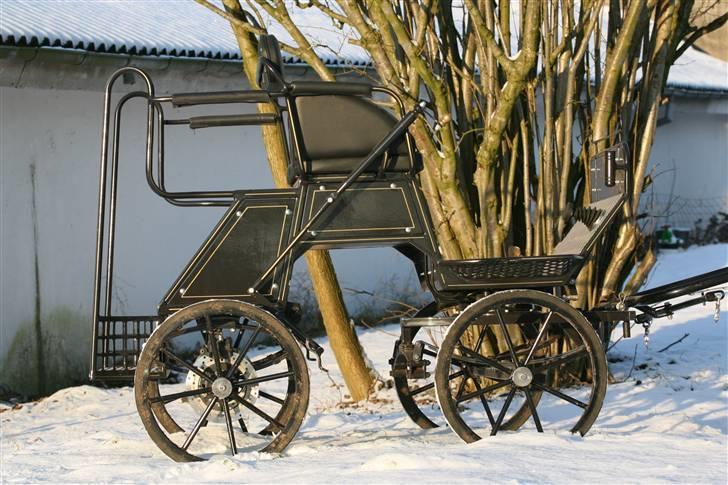 Guld-kareten billede 7