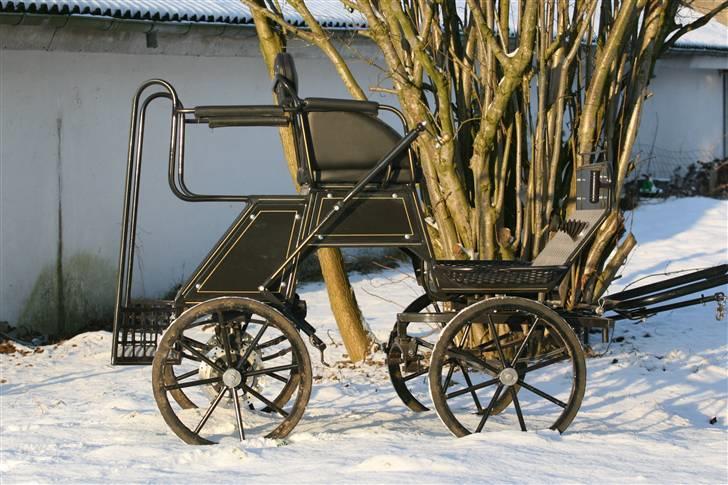 Guld-kareten billede 8