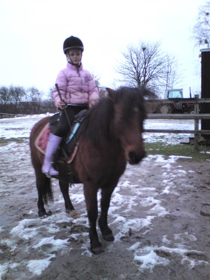 Billeder Af Sigurd, mig Marco, Petra & Signe - Her er de igen <3 billede 5