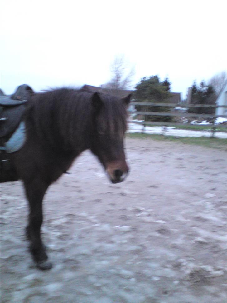 Billeder Af Sigurd, mig Marco, Petra & Signe - Her er Sigurd jo ! billede 6