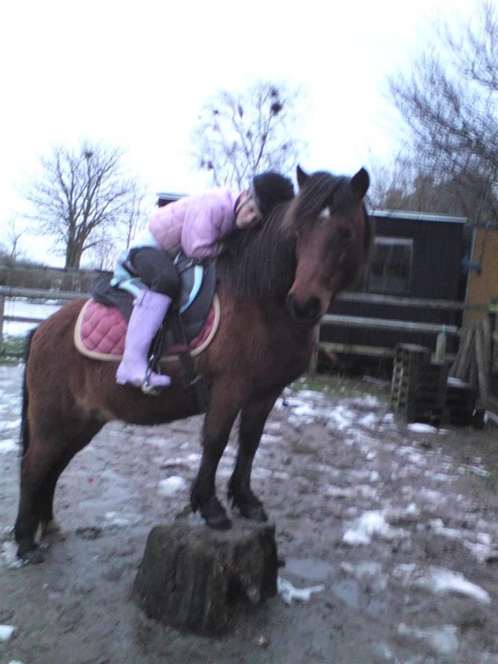 Billeder Af Sigurd, mig Marco, Petra & Signe - Signe og Petra igen - Er de ikke søde sammen? billede 7