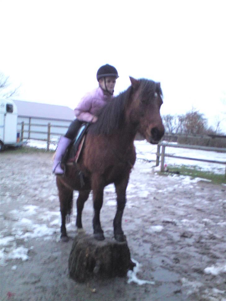 Billeder Af Sigurd, mig Marco, Petra & Signe - Petra er dygtig til at stå på stup.. <3 billede 8