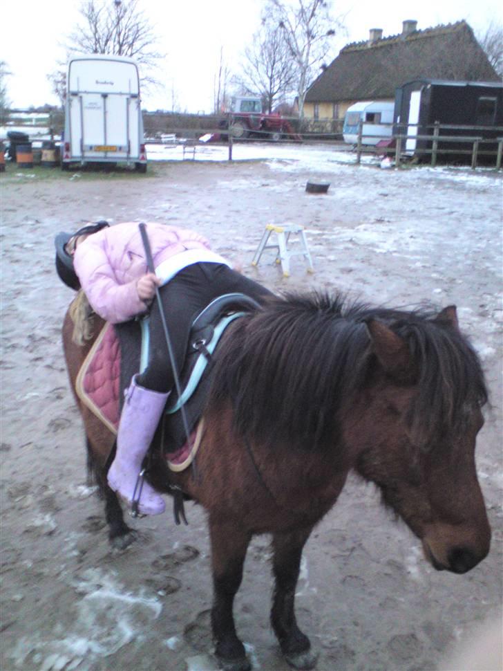 Billeder Af Sigurd, mig Marco, Petra & Signe - Bare hygge! billede 10