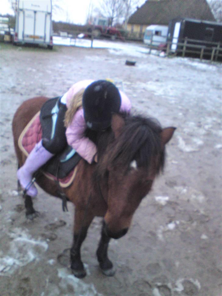 Billeder Af Sigurd, mig Marco, Petra & Signe - Kram! billede 11