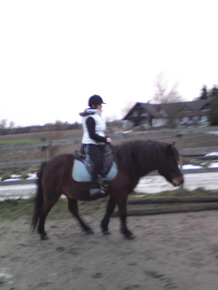 Billeder Af Sigurd, mig Marco, Petra & Signe - Mig på bassen .. billede 12