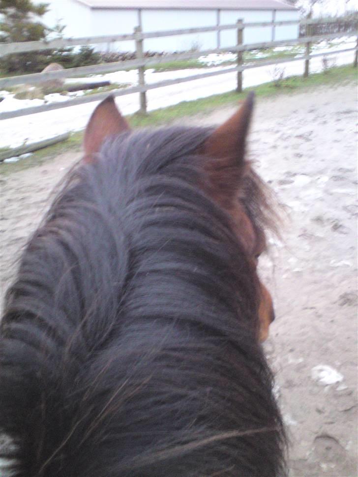 Billeder Af Sigurd, mig Marco, Petra & Signe - Petra, set fra ryggen. billede 13