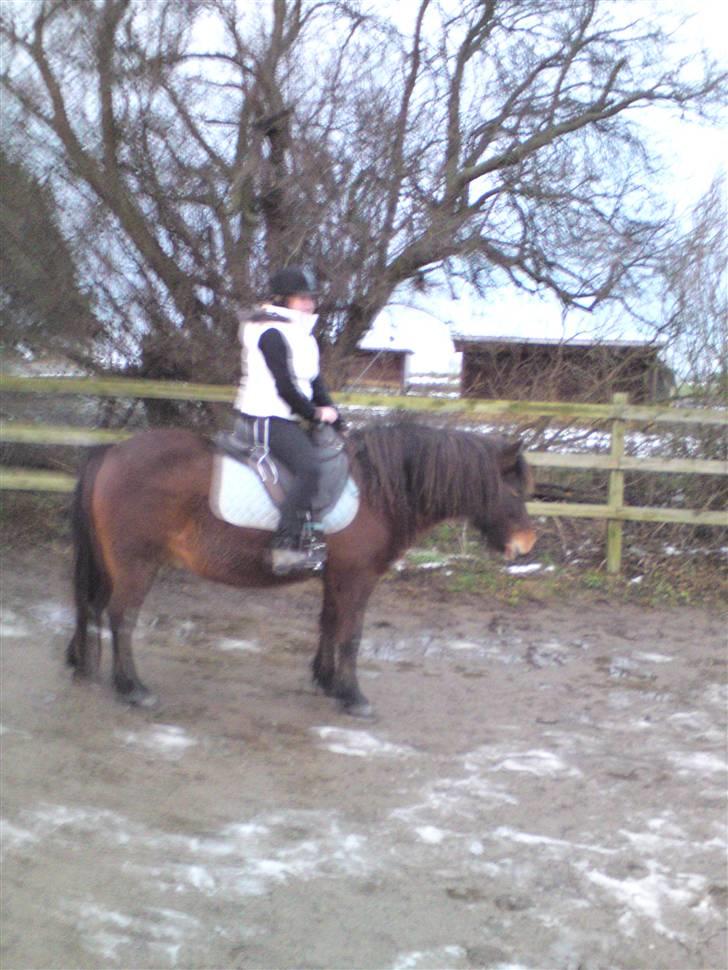 Billeder Af Sigurd, mig Marco, Petra & Signe - Igen mig & Sigurd billede 14