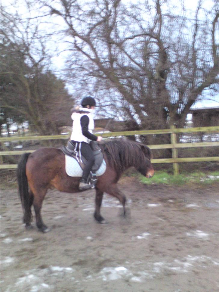 Billeder Af Sigurd, mig Marco, Petra & Signe - Rolig skridt.. billede 15