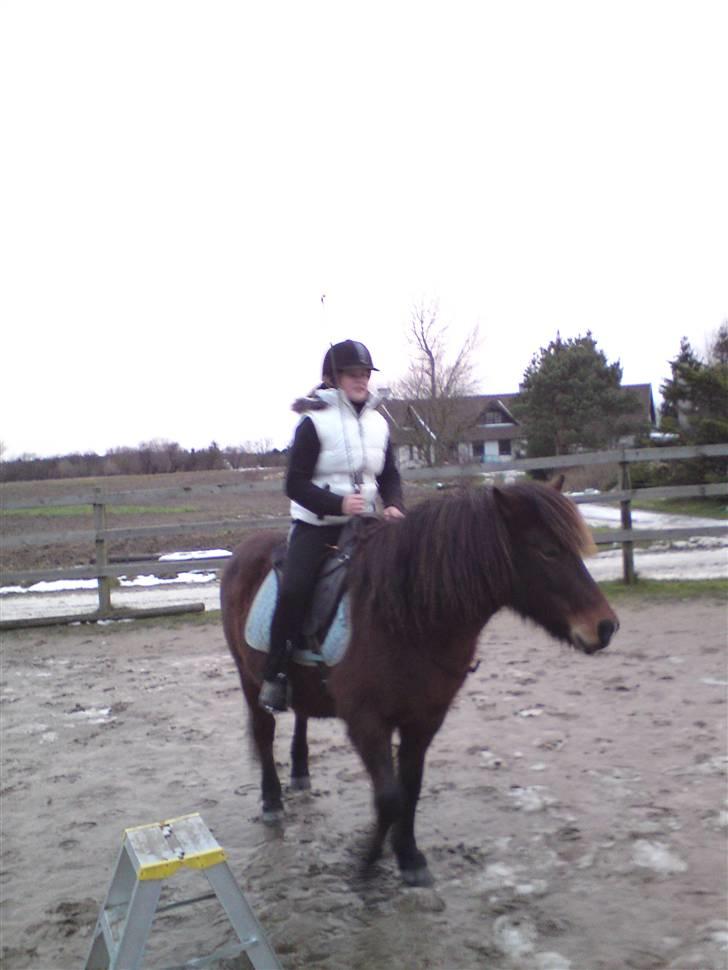 Billeder Af Sigurd, mig Marco, Petra & Signe - Oppe på Sigurd.. billede 16