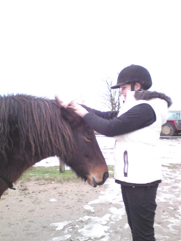 Billeder Af Sigurd, mig Marco, Petra & Signe - Sætter lige Sigurds kæmpe pandelok op <3 billede 17