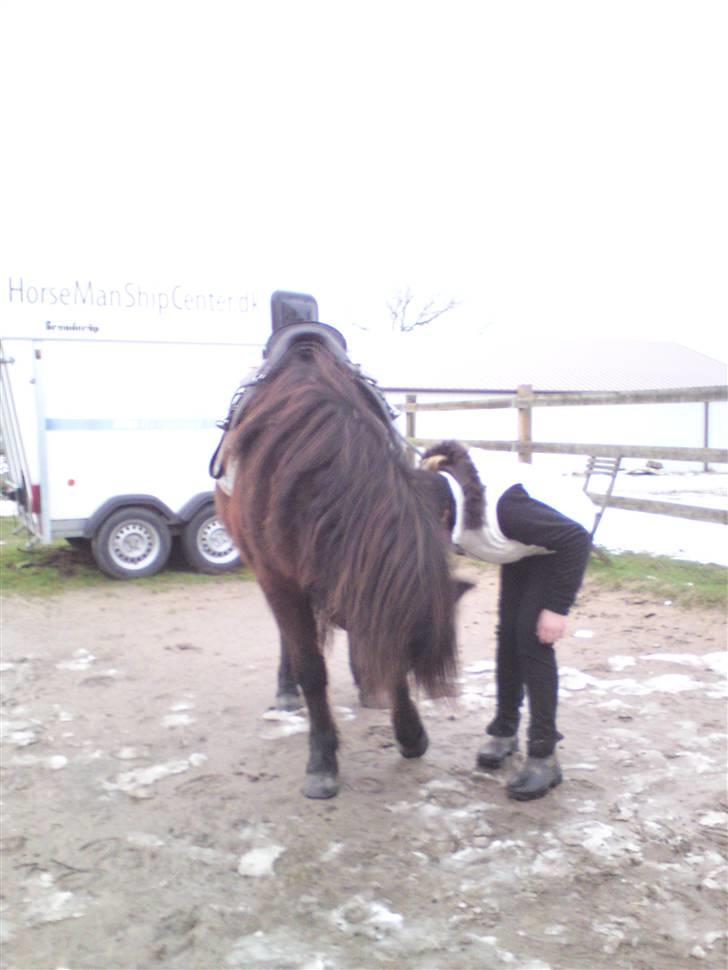 Billeder Af Sigurd, mig Marco, Petra & Signe - Neje billede.. ( igen igen ) billede 23